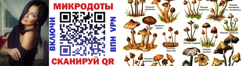 Псилоцибиновые грибы прущие грибы  Каневская 