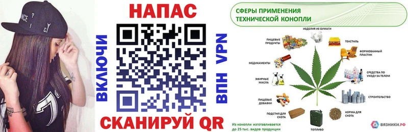 Бошки Шишки марихуана  где купить наркотик  ссылка на мегу маркетплейс  Каневская 